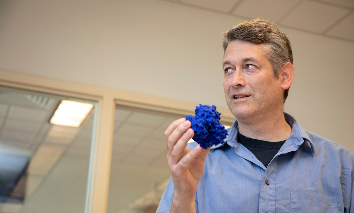Brandt holds one result of his collaboration with Fields: a 3D model of the first atomic structure of a protein from the coral genus Acropora.