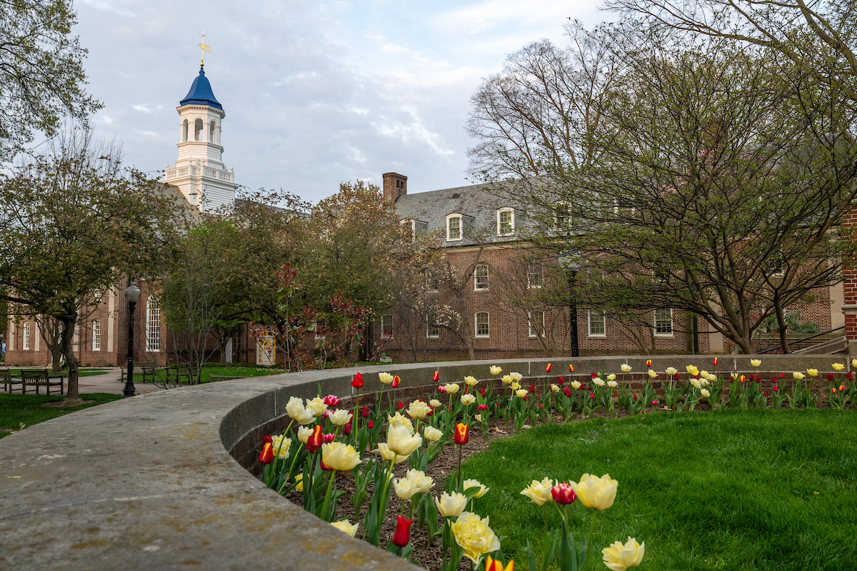 Campus in the spring