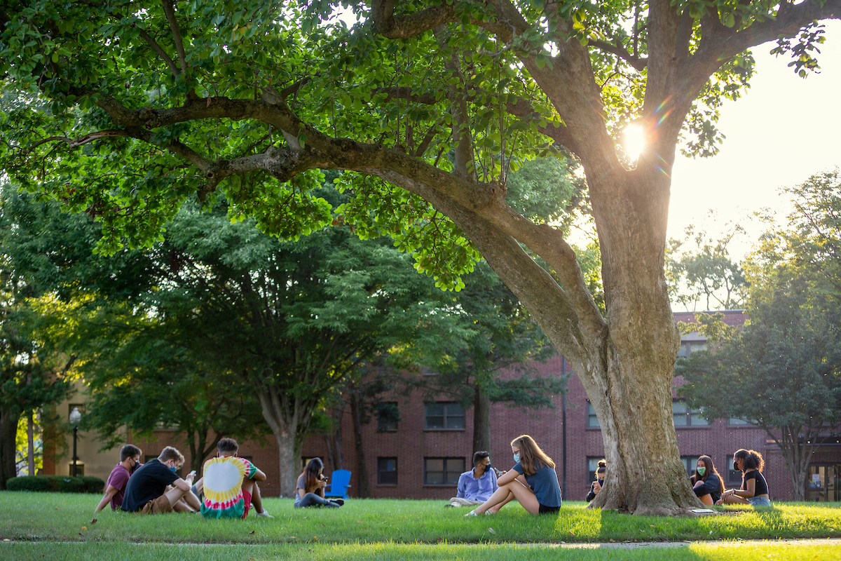 Sun peeking through tree limbs on Hartman Green