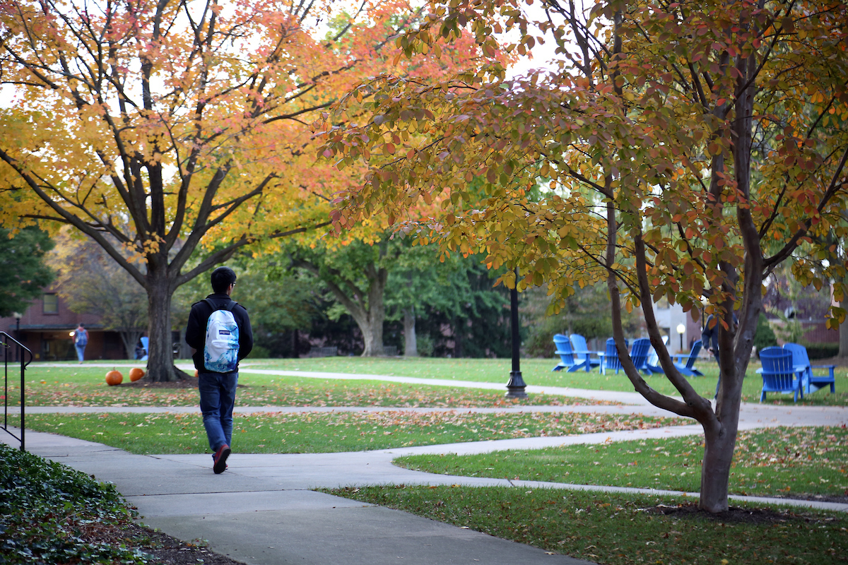 Trees on campus