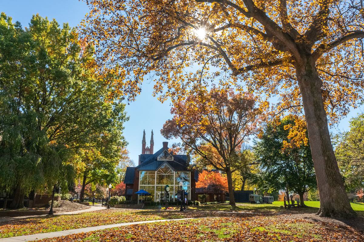 F&M campus fall foliage