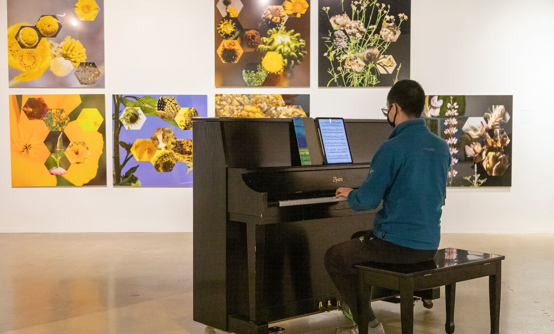 Jihang Dai '22 performs during Music Night at the Phillips Museum of Art.