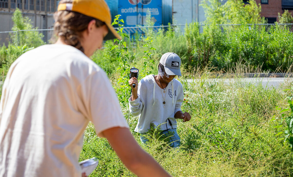 Students in Sybil Gotsch's ecohydrology lab collect data from rain gardens outside Lancaster Brewing Company in Lancaster City as part of a comprehensive study.