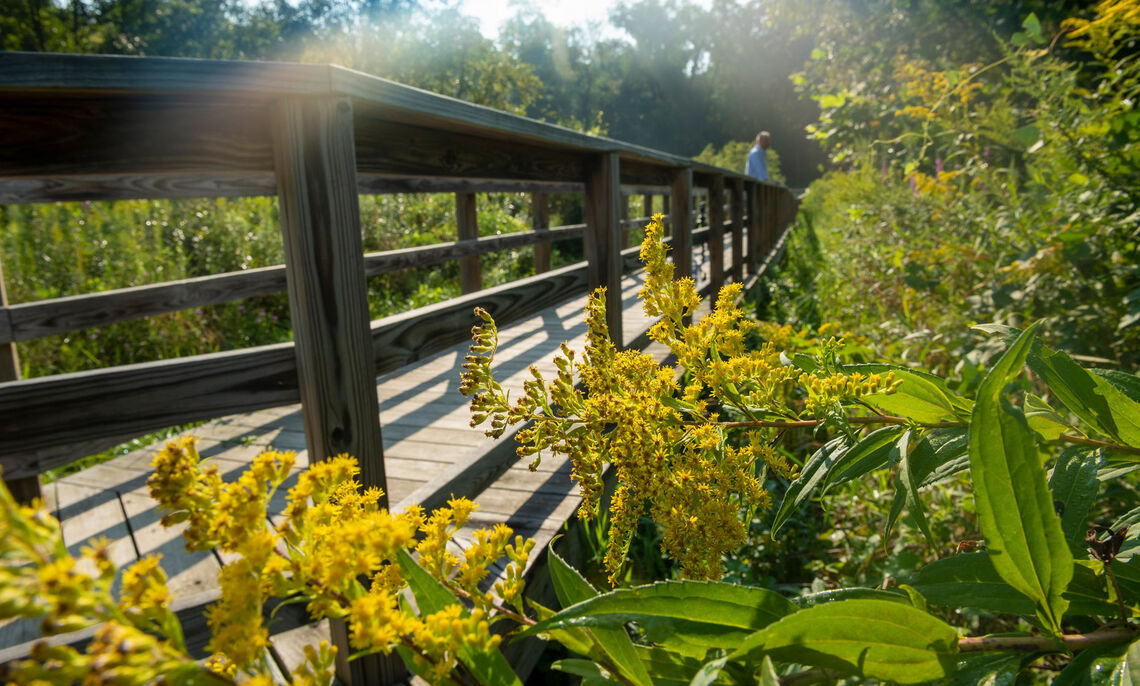 Spalding Conservancy