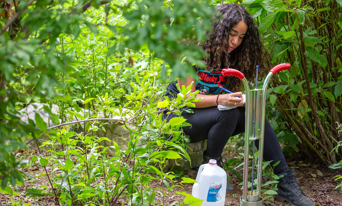 Students in Sybil Gotsch's ecohydrology lab collect data from rain gardens in Lancaster City as part of a comprehensive study.