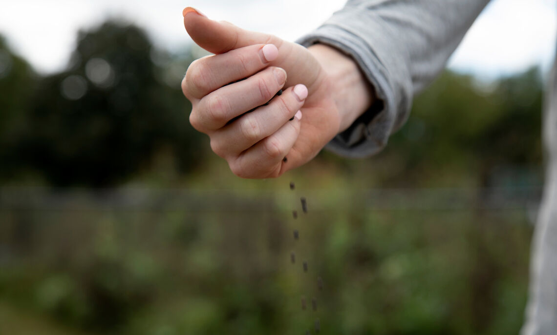 Students plant seeds at Baker Campus.