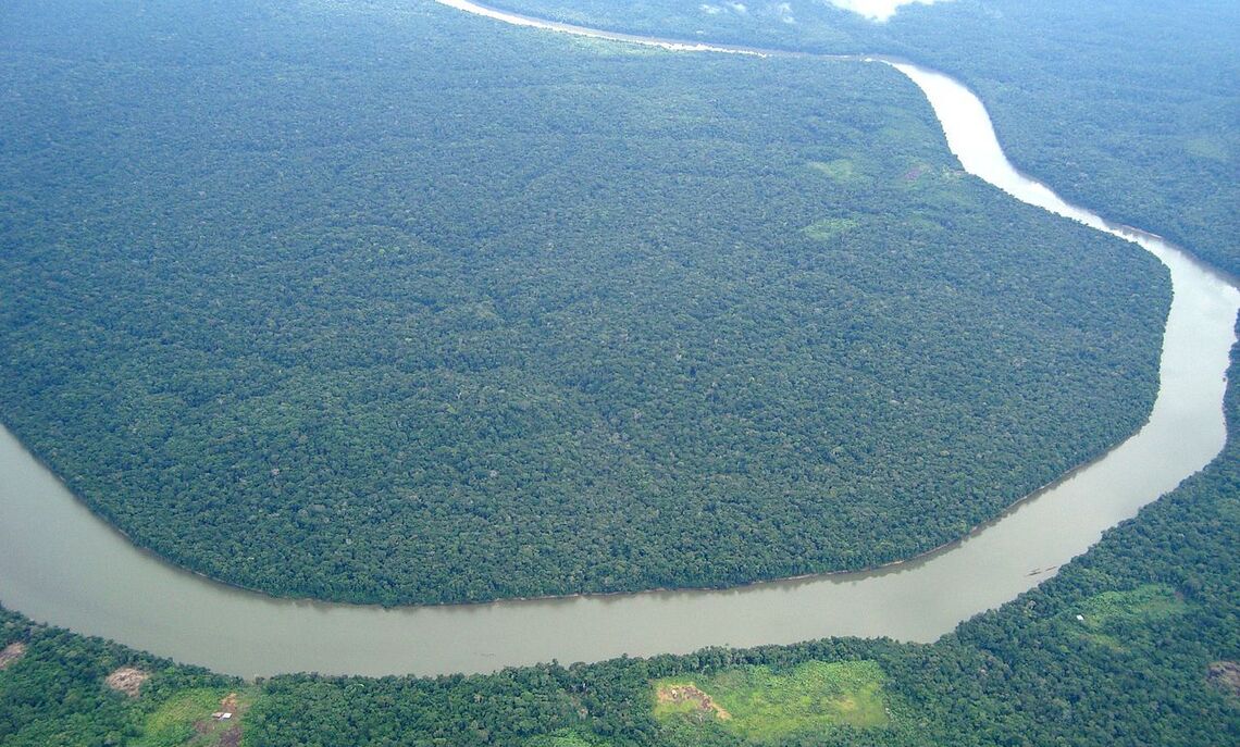 ... This is just a part of the Amazon rainforest in South America.
